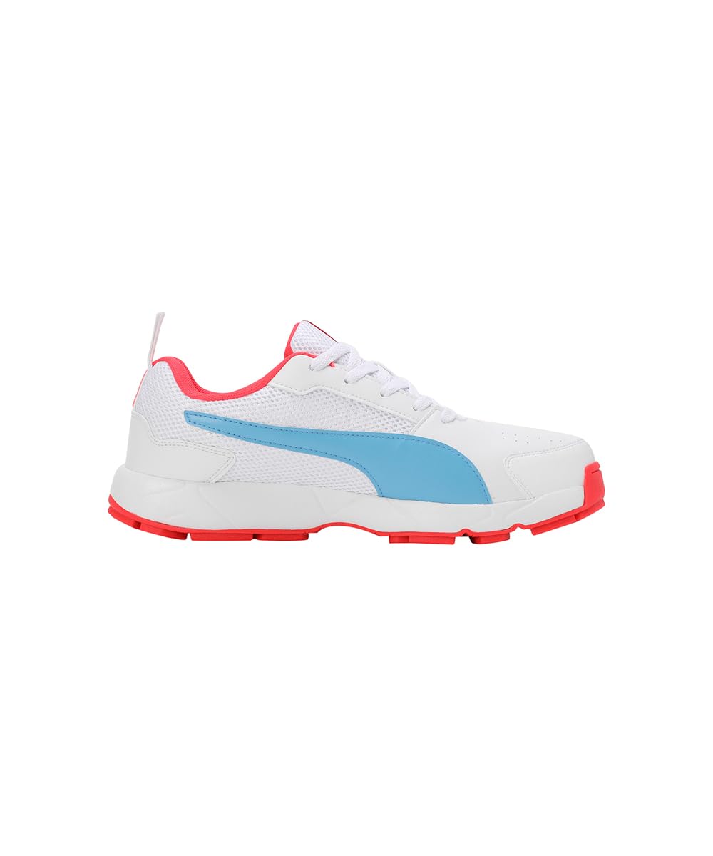 Puma Men's Cricket HighRun Cricket Shoe