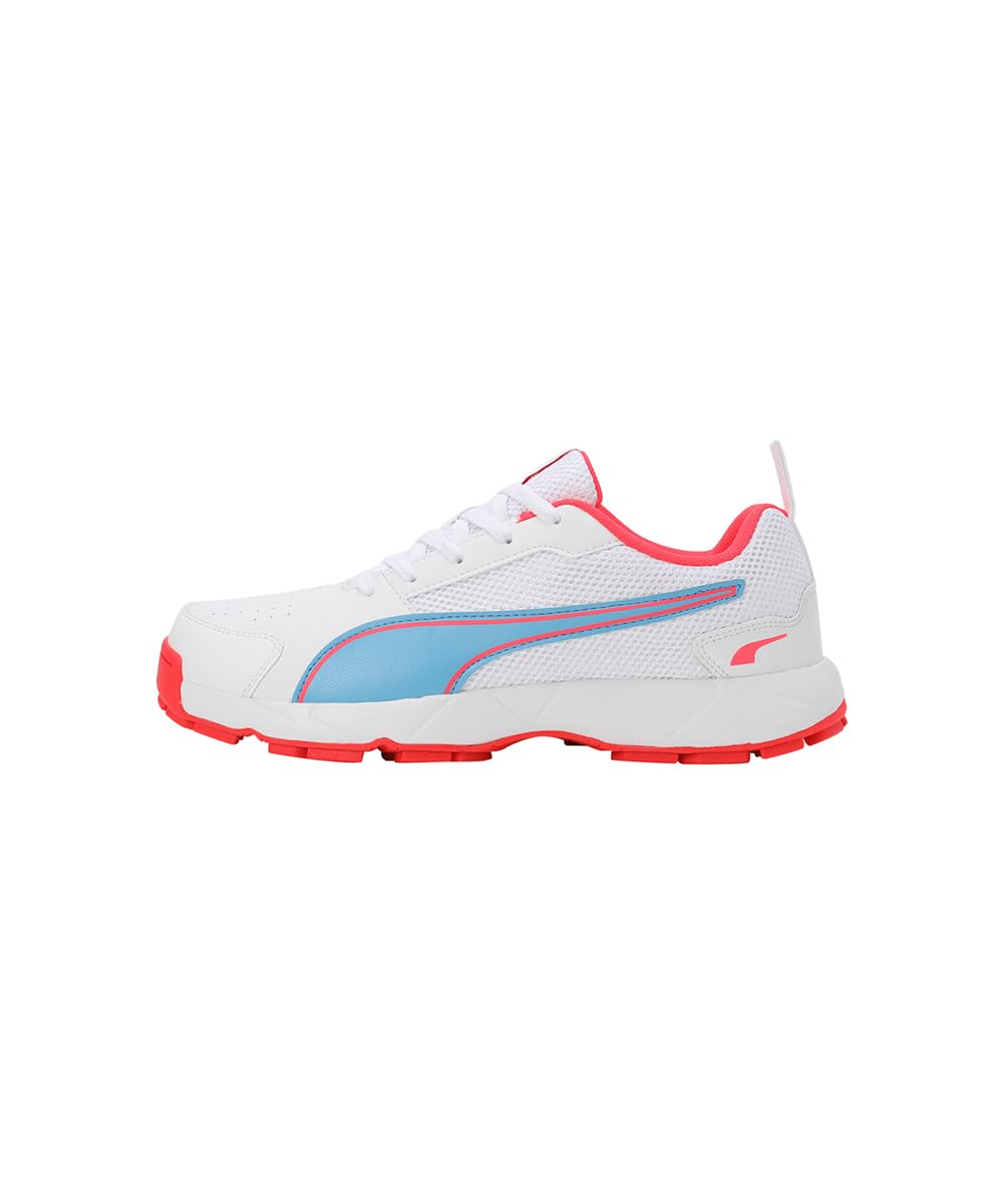Puma Men's Cricket HighRun Cricket Shoe