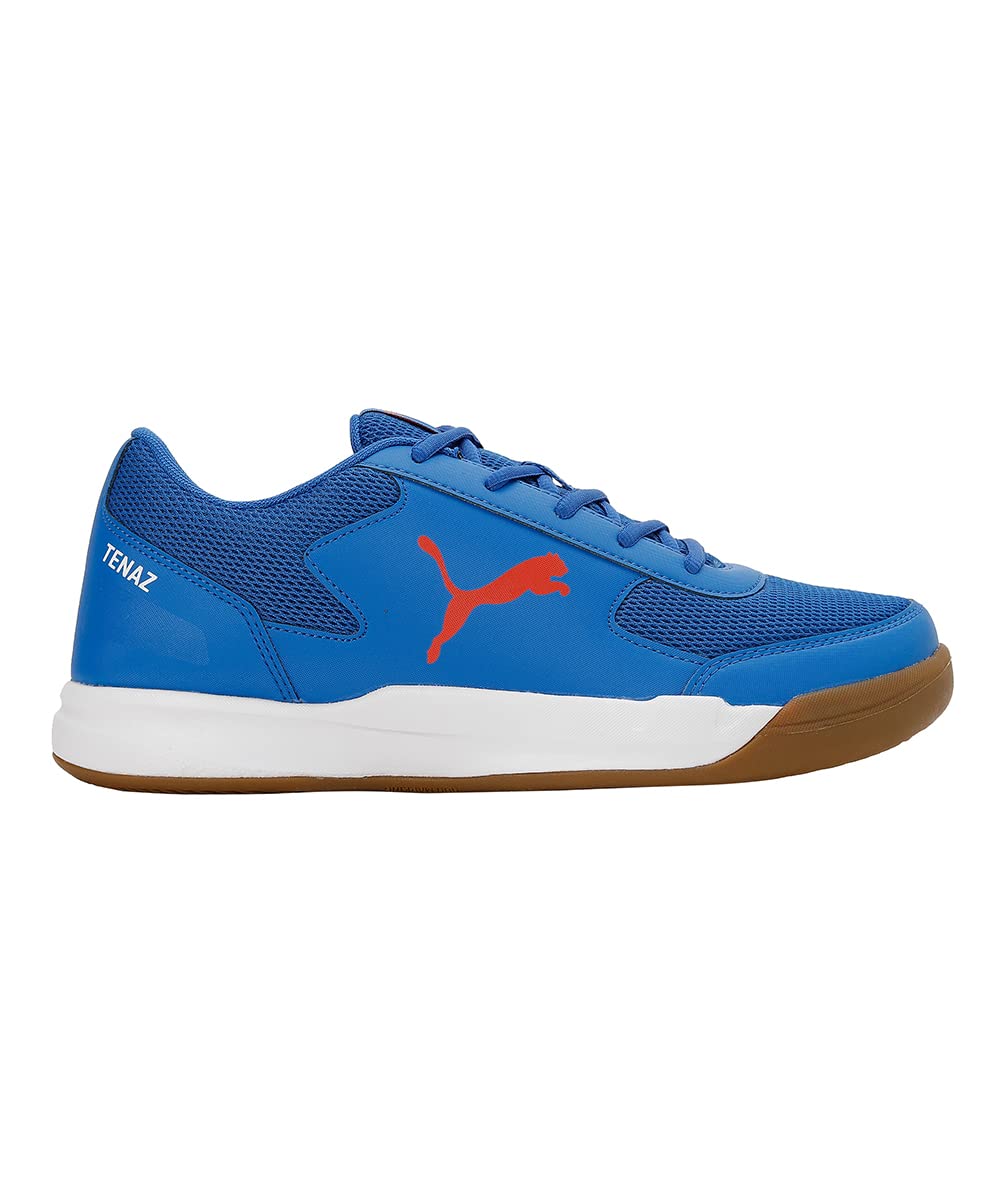 Puma Unisex Ad-Court Indoor Shoe