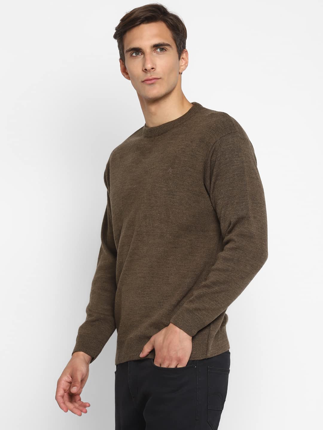 Alan Jones Clothing Men's Acrylic Round Neck Sweater