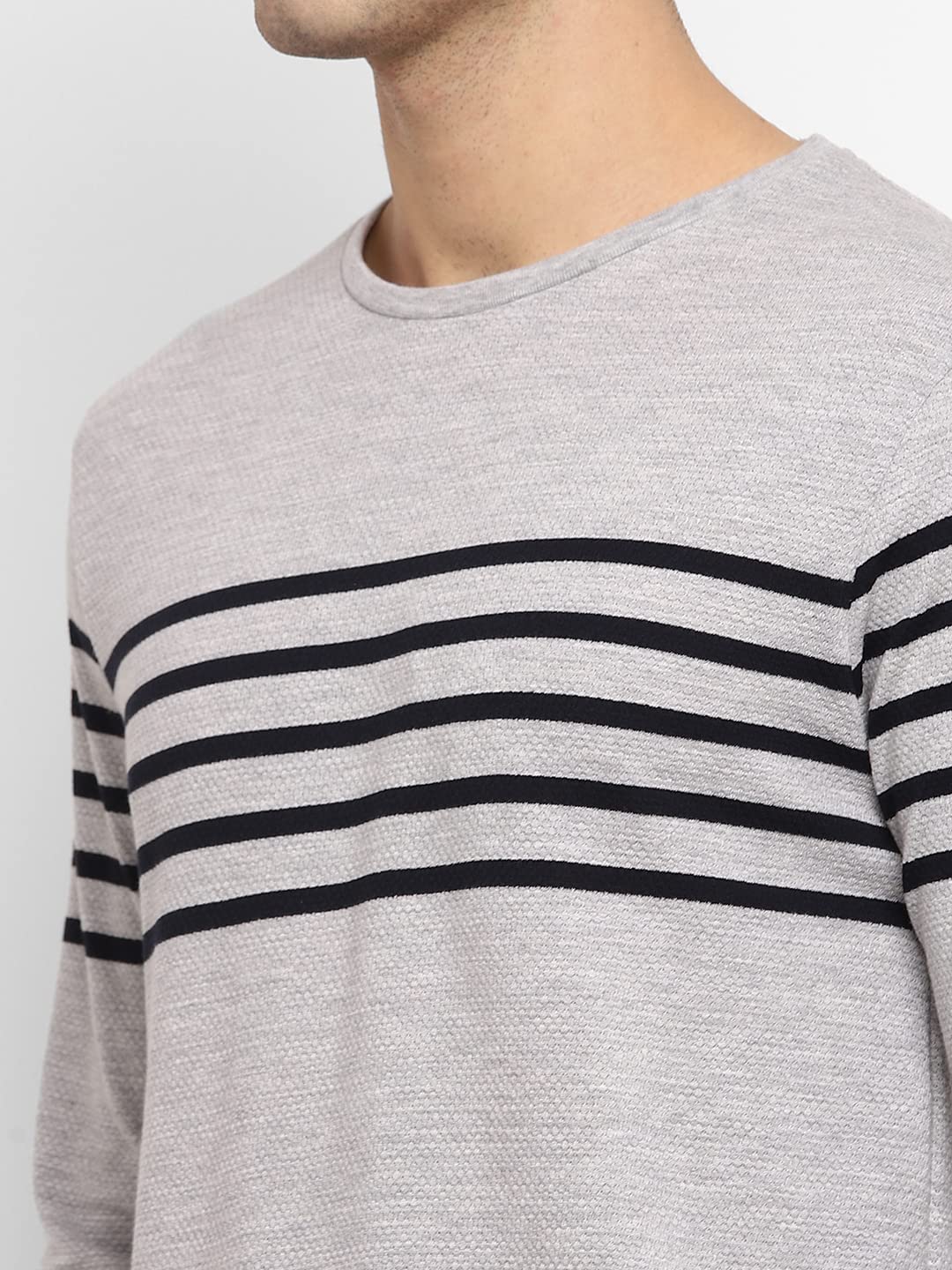 Alan Jones Clothing Men's Striped Full Sleeves Round Neck Regular Fit T-Shirt-6