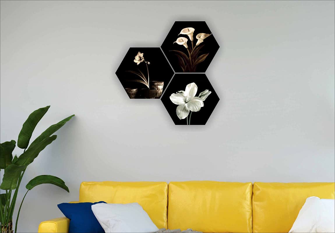 SAF paintings Flower Pot UV Textured MDF Set of 3 Hexagon Painting 17 Inch X 17 Inch HX131