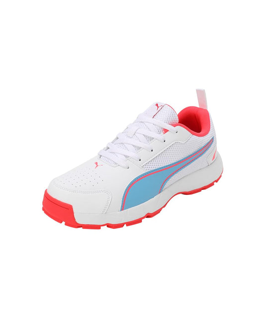 Puma Men's Cricket HighRun Cricket Shoe
