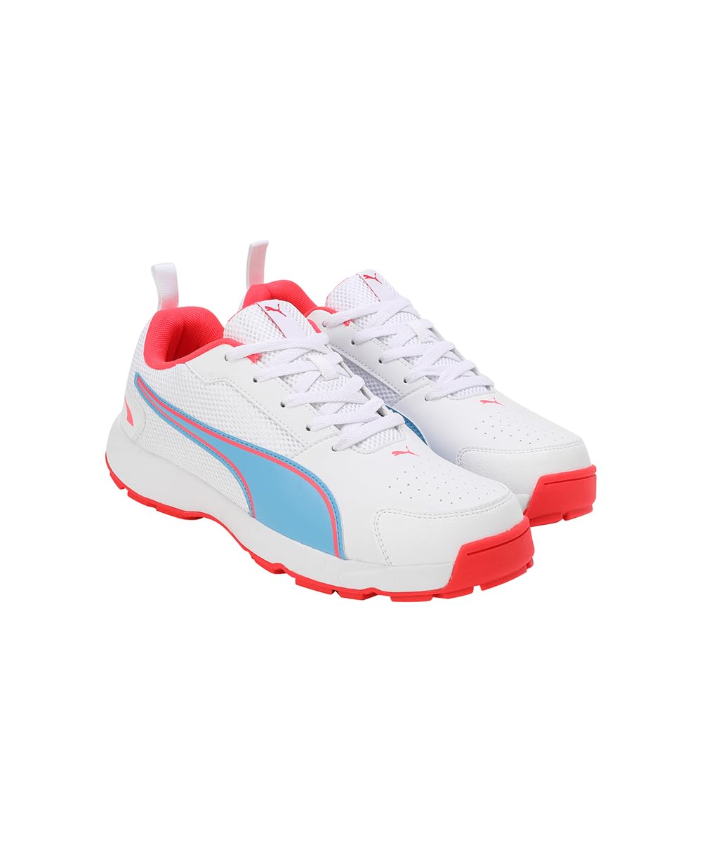 Puma Men's Cricket HighRun Cricket Shoe