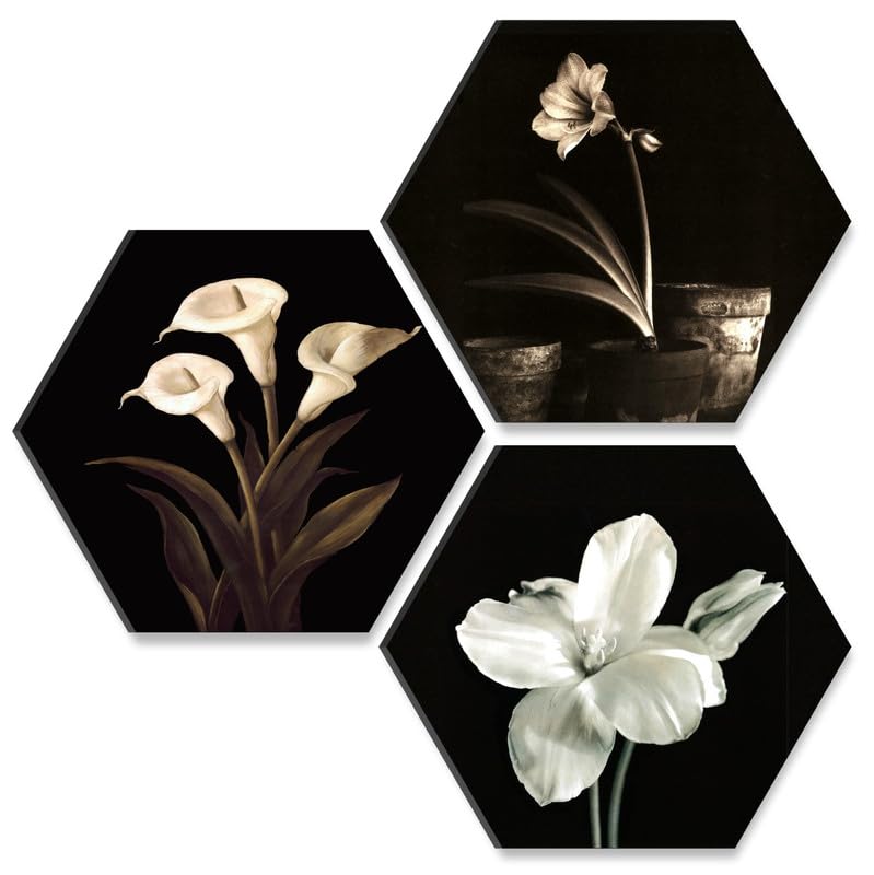 SAF paintings Flower Pot UV Textured MDF Set of 3 Hexagon Painting 17 Inch X 17 Inch HX131