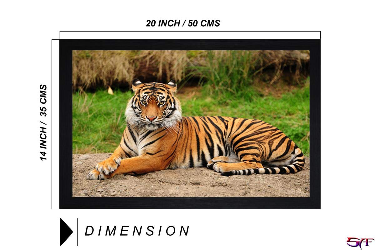 SAF paintings Tiger Large Synthetic Framed UV Digital Reprint Painting (14 inch x 20 inch) SANFM2696