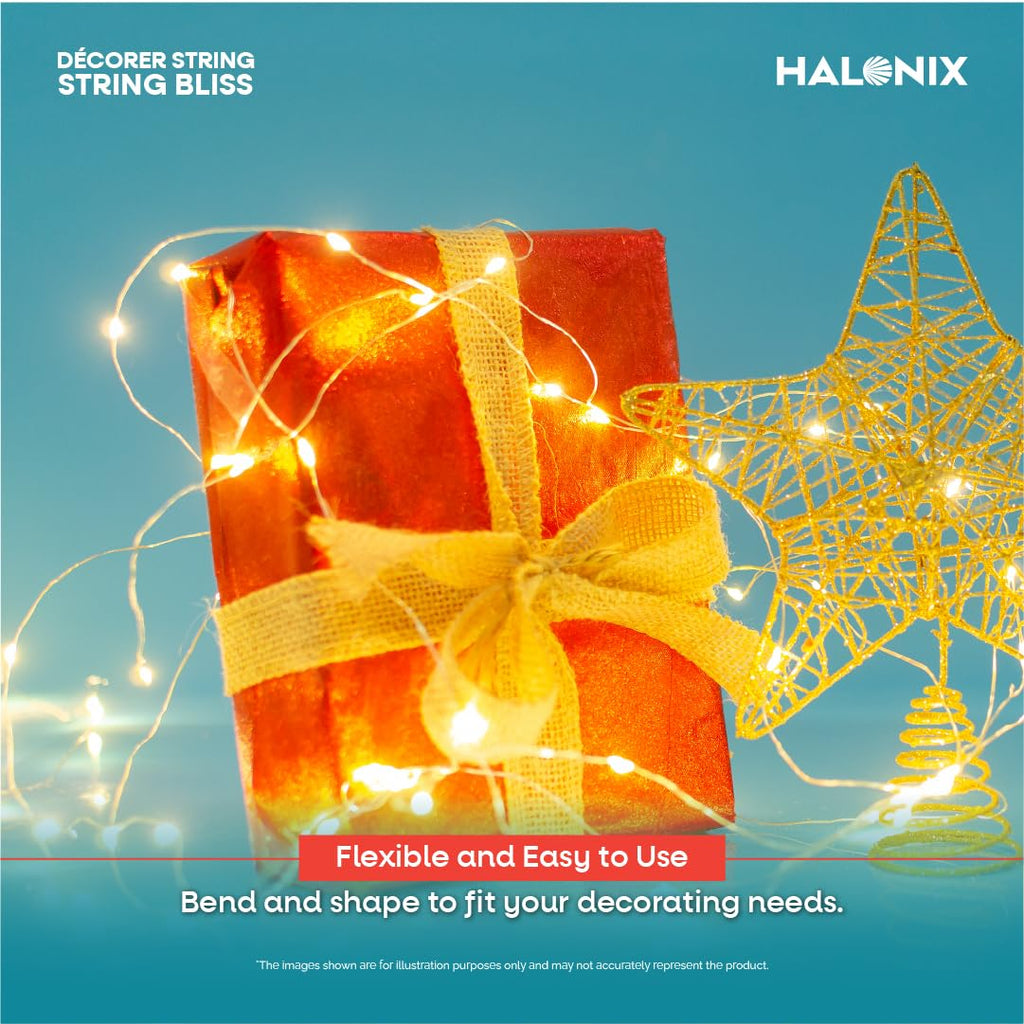 Halonix Bliss Rice Light | Decorative Light | Fairy Light | USB Powered | String Light | Diwali Light | Warm White| Pack 1 |Diwali Lights for Decoration for Home