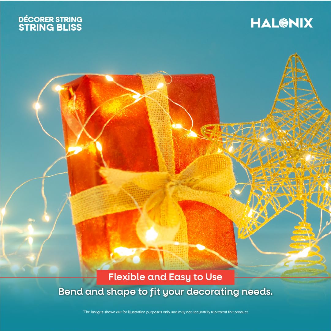 Halonix Bliss Rice Light | Decorative Light | Fairy Light | USB Powered | String Light | Diwali Light | Warm White| Pack 1 |Diwali Lights for Decoration for Home