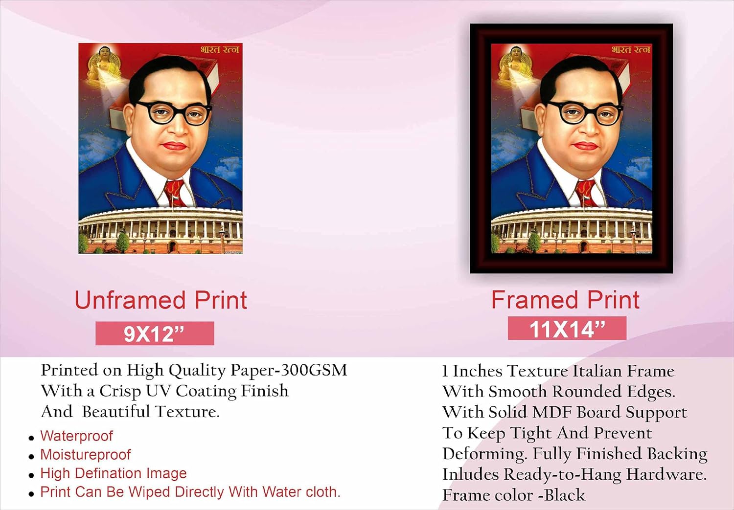 SAF paintings Bhim Rao Ambedkar Framed Acrylic Glass Painting 14 inch x 11 inch SANFR16(Multicolor)