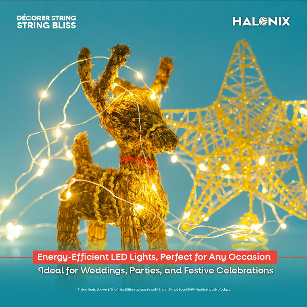 Halonix Bliss Rice Light | Decorative Light | Fairy Light | USB Powered | String Light | Diwali Light | Warm White| Pack 1 |Diwali Lights for Decoration for Home