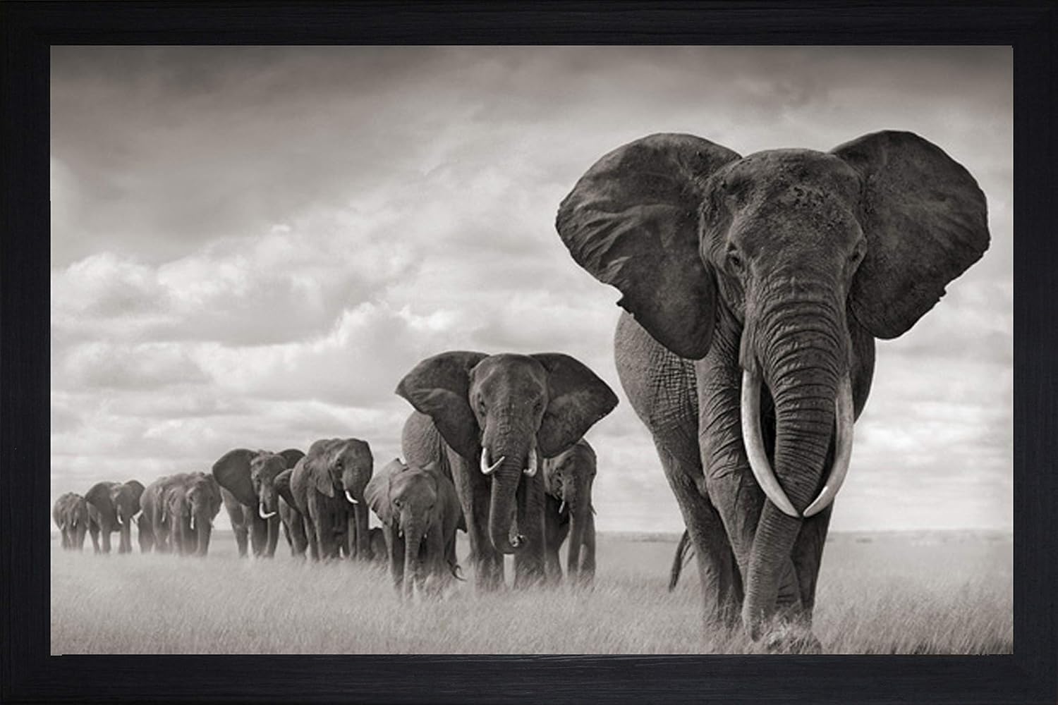 SAF paintings Elephants Large Framed UV Digital Reprint (Synthetic, 14 x 20-inch) SANFMM7989