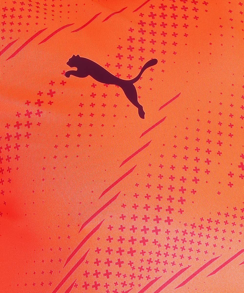 Puma Men Slim Fit T-Shirt