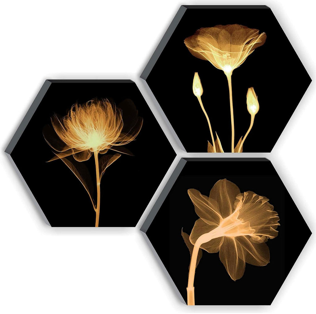 SAF paintings UV Textured Flower Designer 6MM MDF Hexagon Set of 3 Digital Reprint Painting (21 inches X 21 inches) SANFHX15