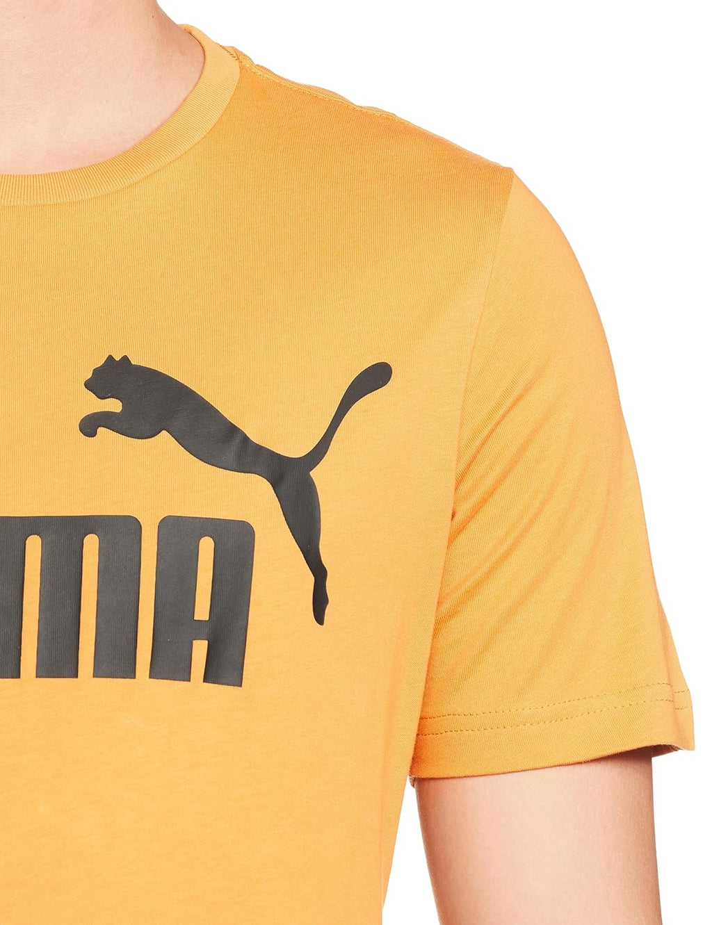 Puma Men's Regular Fit T-Shirt